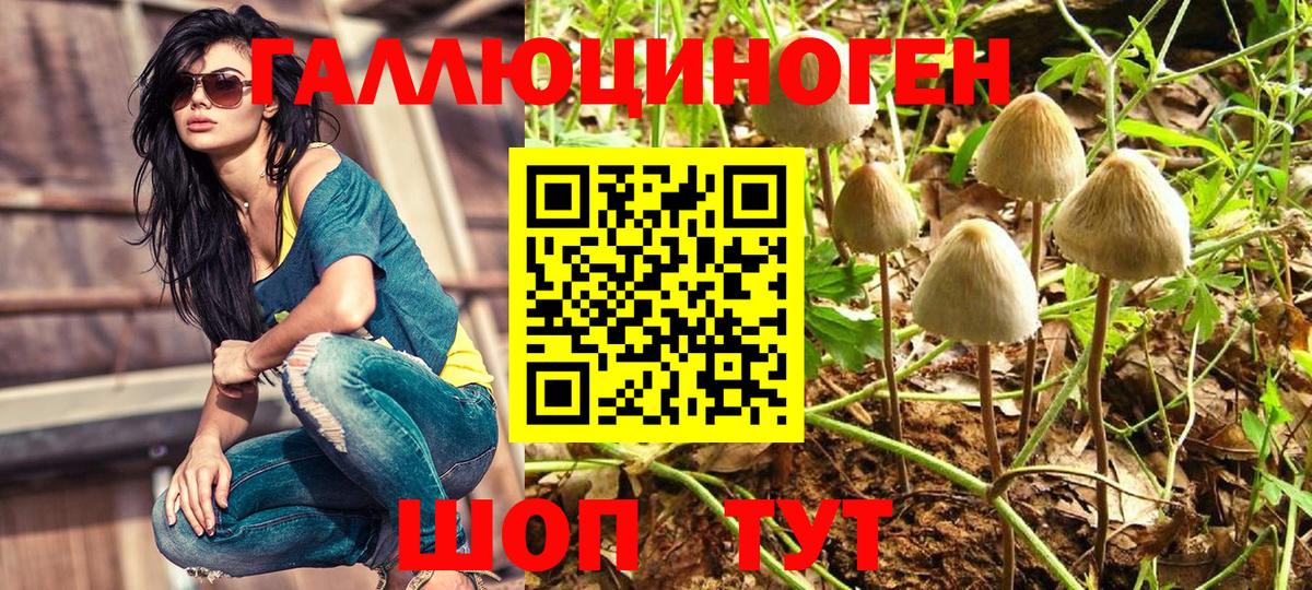 наркотики  Галлюциногенные грибы Magic Shrooms  Вход с VPN  Джанкой 